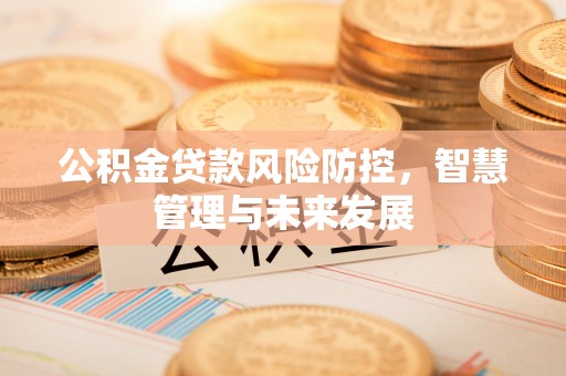 彰武公积金贷款风险防控，智慧管理与未来发展